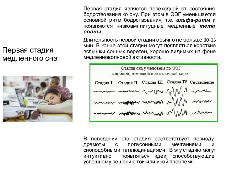 Первая стадия медленного сна Первая стадия является переходной от состояния