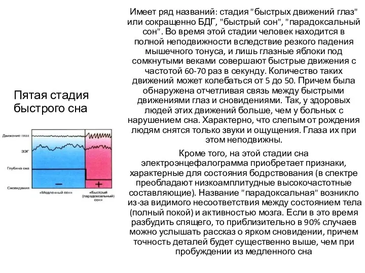 Пятая стадия быстрого сна Имеет ряд названий: стадия "быстрых движений