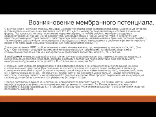 Возникновение мембранного потенциала. С внутренней и наружной стороны мембраны находится