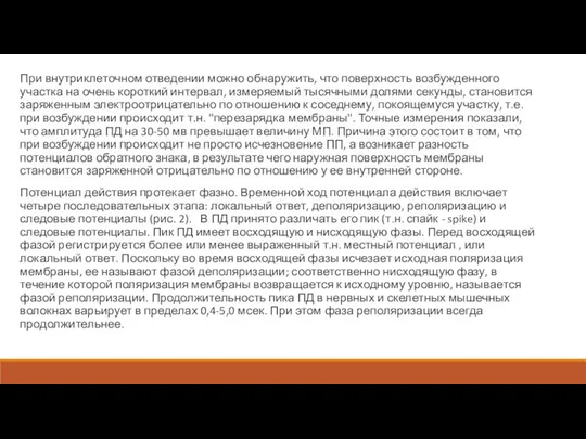 При внутриклеточном отведении можно обнаружить, что поверхность возбужденного участка на