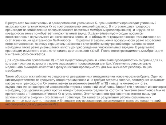 В результате Na-инактивации и одновременного увеличения К- проницаемости происходит усиленный