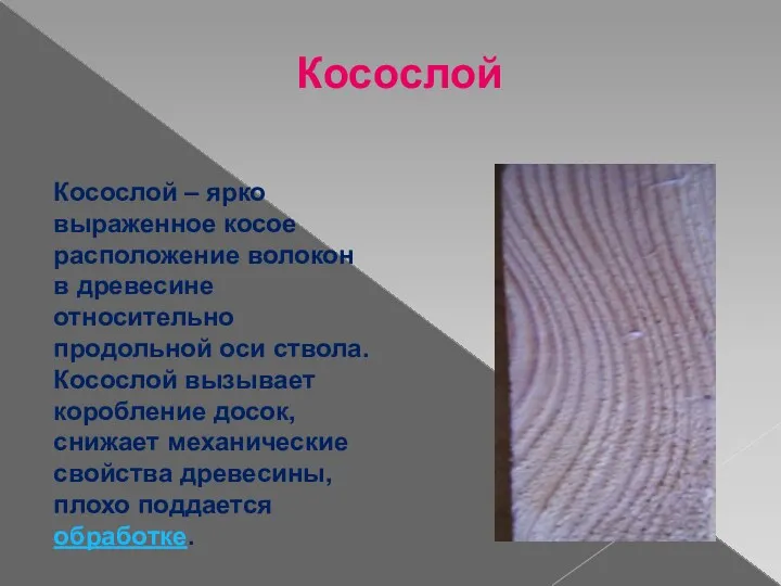 Косослой Косослой – ярко выраженное косое расположение волокон в древесине относительно продольной оси