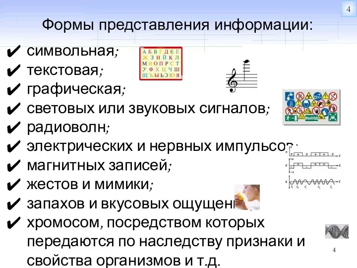 Формы представления информации: символьная; текстовая; графическая; световых или звуковых сигналов;