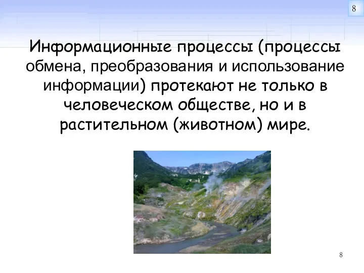 Информационные процессы (процессы обмена, преобразования и использование информации) протекают не