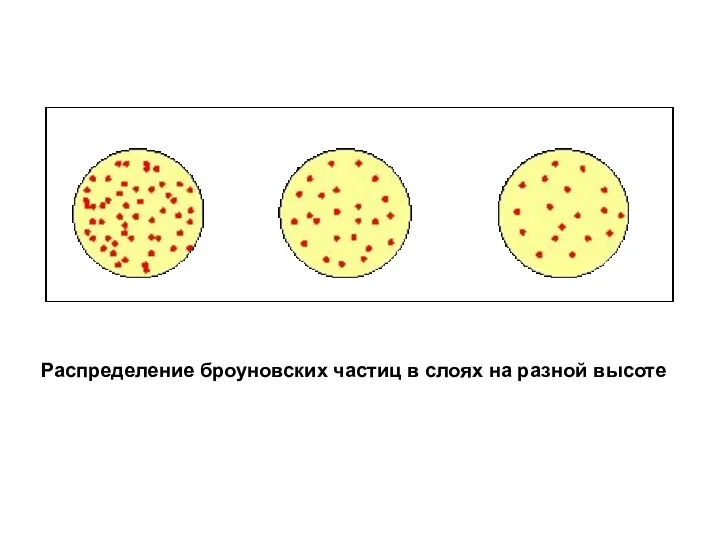 Распределение броуновских частиц в слоях на разной высоте