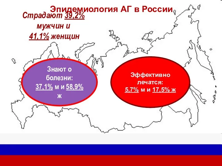 Эпидемиология АГ в России Страдают 39,2% мужчин и 41,1% женщин