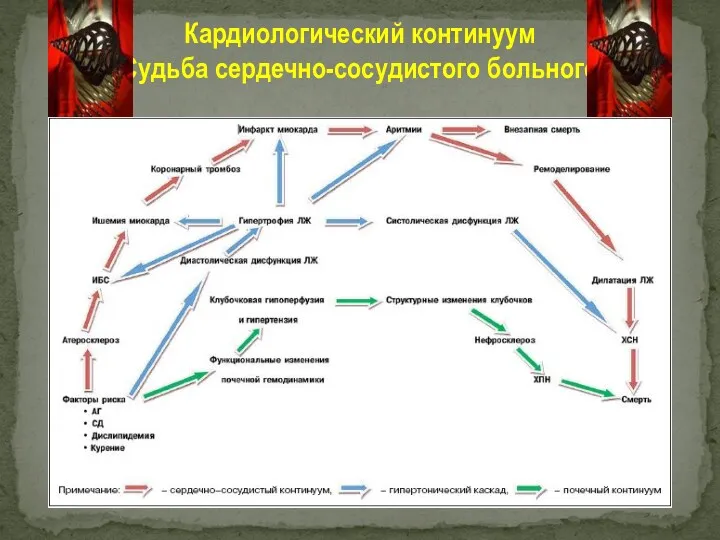 Кардиологический континуум Судьба сердечно-сосудистого больного