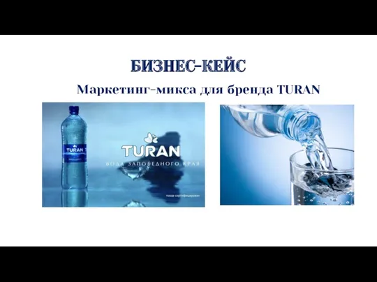 БИЗНЕС-КЕЙС Маркетинг-микса для бренда TURAN
