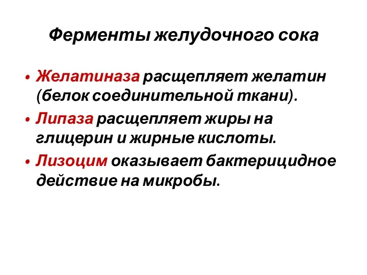 Ферменты желудочного сока Желатиназа расщепляет желатин (белок соединительной ткани). Липаза