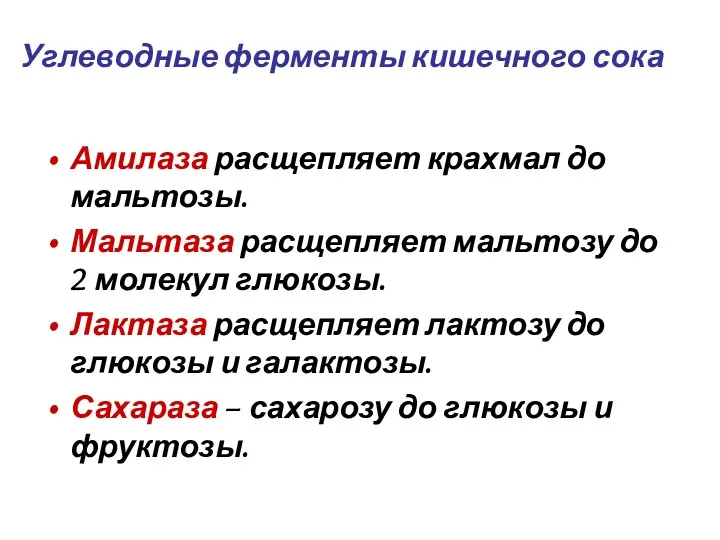 Углеводные ферменты кишечного сока Амилаза расщепляет крахмал до мальтозы. Мальтаза