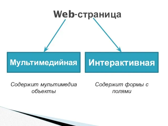 Web-страница Мультимедийная Интерактивная Содержит мультимедиа объекты Содержит формы с полями