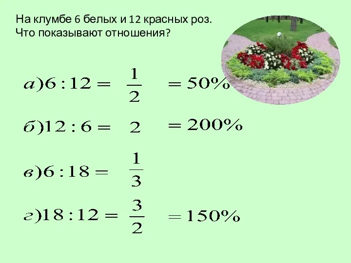 На клумбе 6 белых и 12 красных роз. Что показывают отношения?