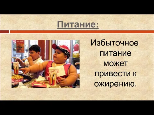 Питание: Избыточное питание может привести к ожирению. http://odeve.ru/