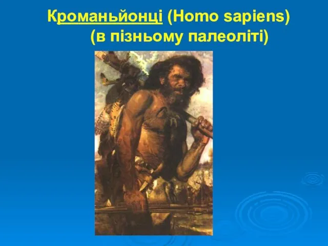 Кроманьйонці (Homo sapiens) (в пізньому палеоліті)
