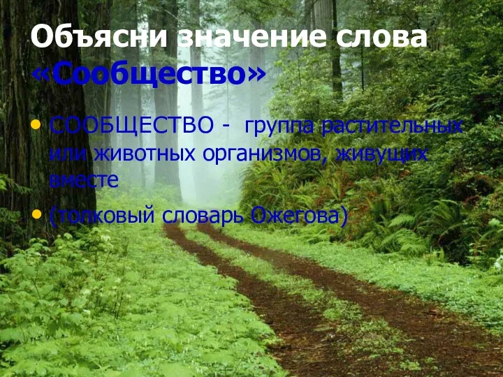 Объясни значение слова «Сообщество» СООБЩЕСТВО - группа растительных или животных организмов, живущих вместе (толковый словарь Ожегова)