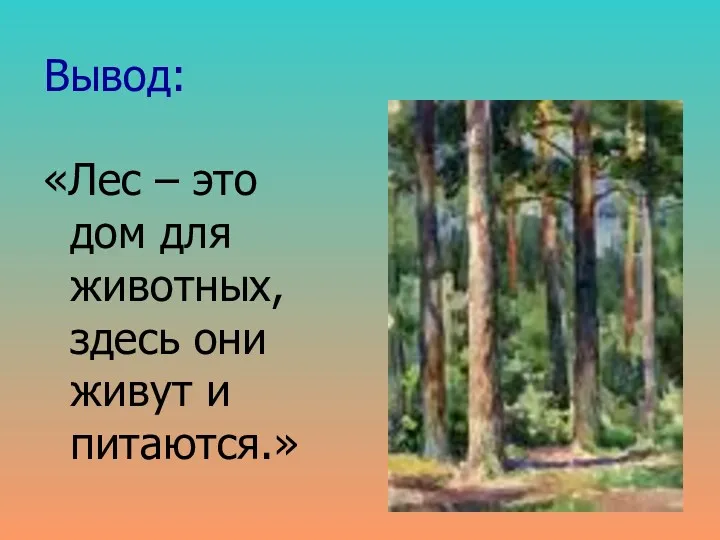 Вывод: «Лес – это дом для животных, здесь они живут и питаются.»