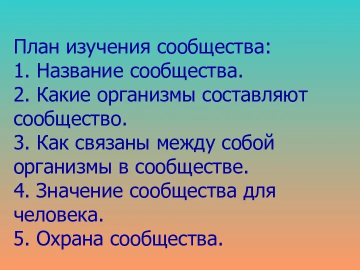 План изучения сообщества: 1. Название сообщества. 2. Какие организмы составляют