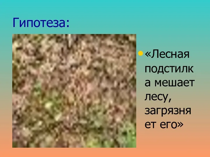 Гипотеза: «Лесная подстилка мешает лесу, загрязняет его»