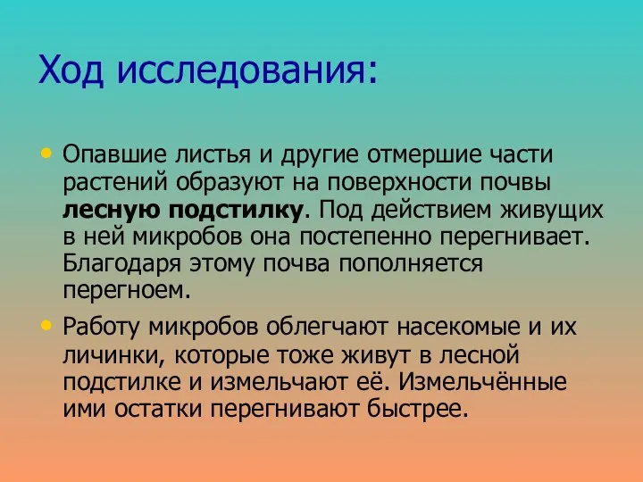 Ход исследования: Опавшие листья и другие отмершие части растений образуют