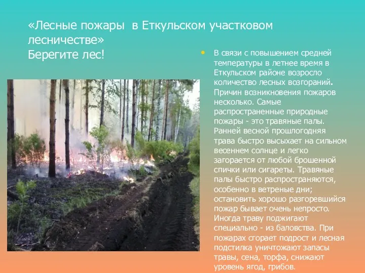 «Лесные пожары в Еткульском участковом лесничестве» Берегите лес! В связи