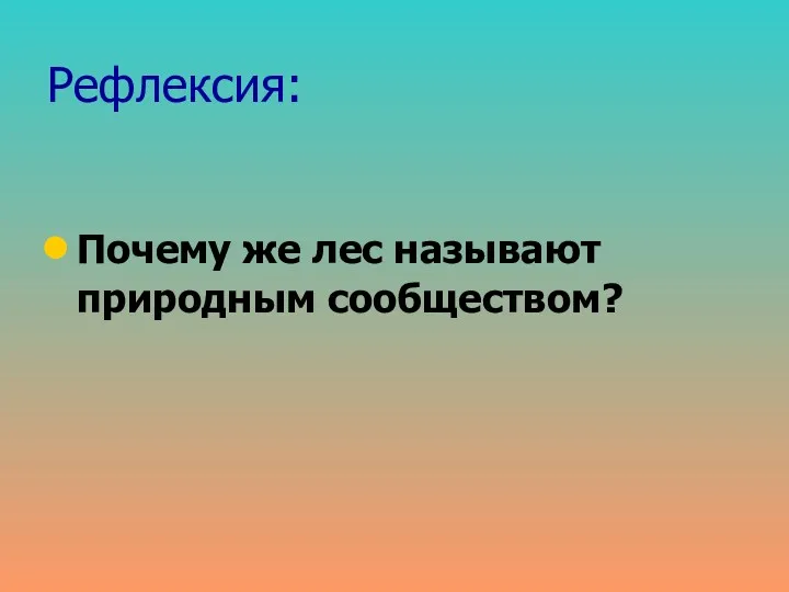 Рефлексия: Почему же лес называют природным сообществом?