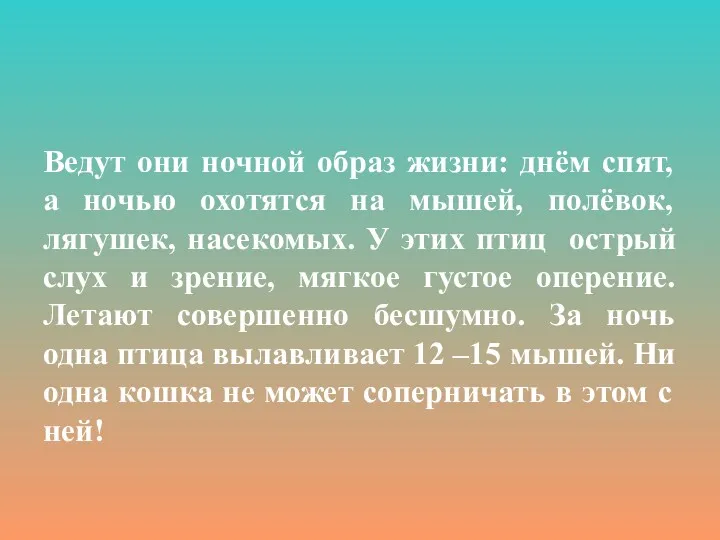 Ведут они ночной образ жизни: днём спят, а ночью охотятся