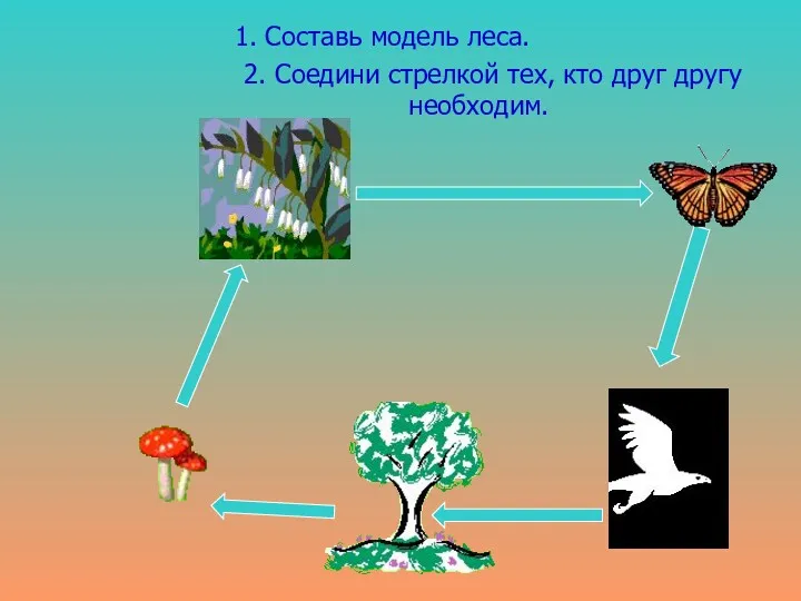 1. Составь модель леса. 2. Соедини стрелкой тех, кто друг другу необходим.