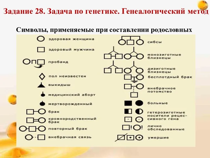 Задание 28. Задача по генетике. Генеалогический метод Символы, применяемые при составлении родословных