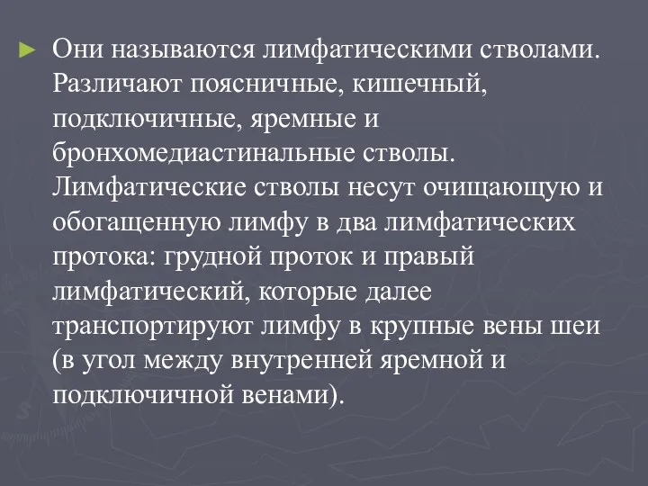 Они называются лимфатическими стволами. Различают поясничные, кишечный, подключичные, яремные и