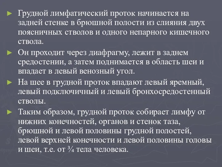 Грудной лимфатический проток начинается на задней стенке в брюшной полости