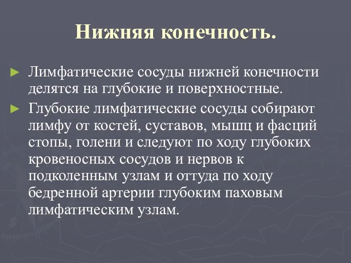 Нижняя конечность. Лимфатические сосуды нижней конечности делятся на глубокие и