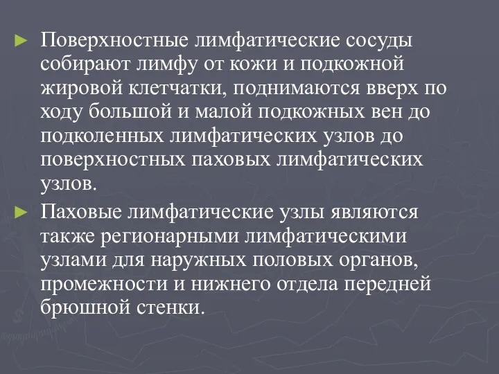 Поверхностные лимфатические сосуды собирают лимфу от кожи и подкожной жировой