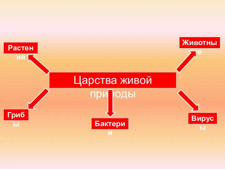 Царства живой природы Грибы Животные Растения Бактерии Вирусы