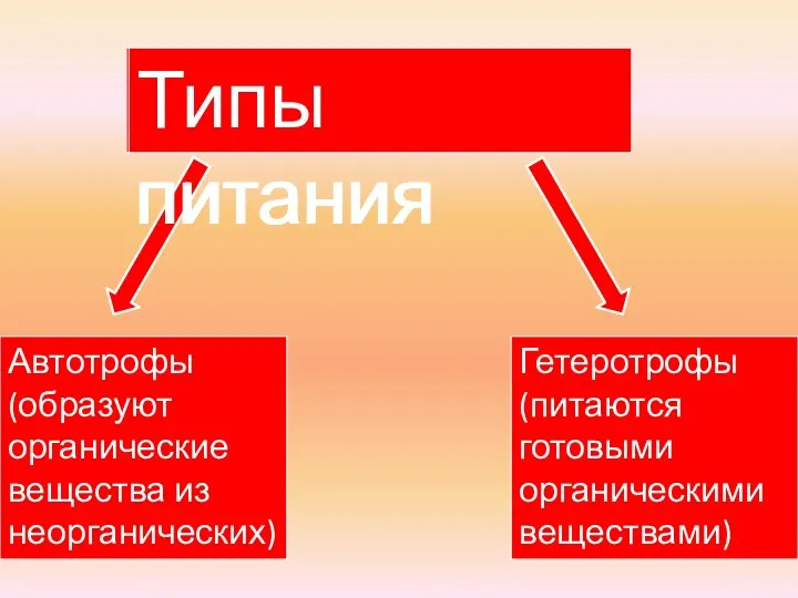 Типы питания Гетеротрофы (питаются готовыми органическими веществами) Автотрофы (образуют органические