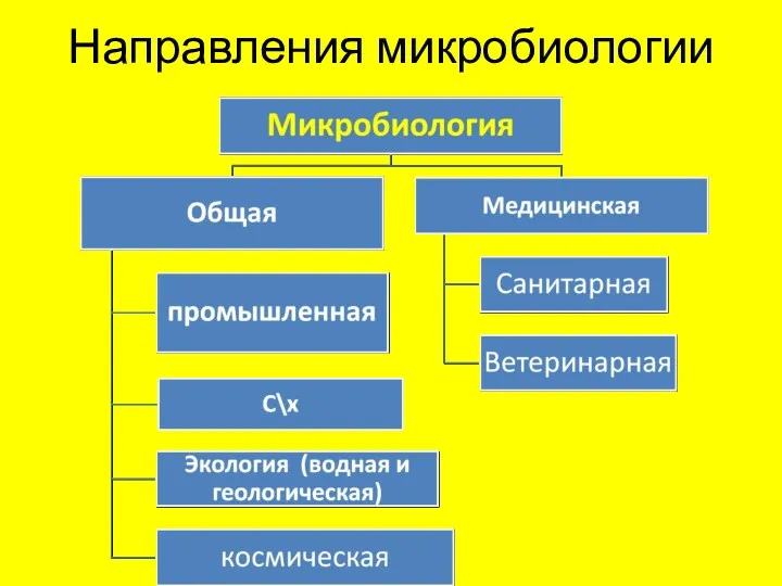 Направления микробиологии