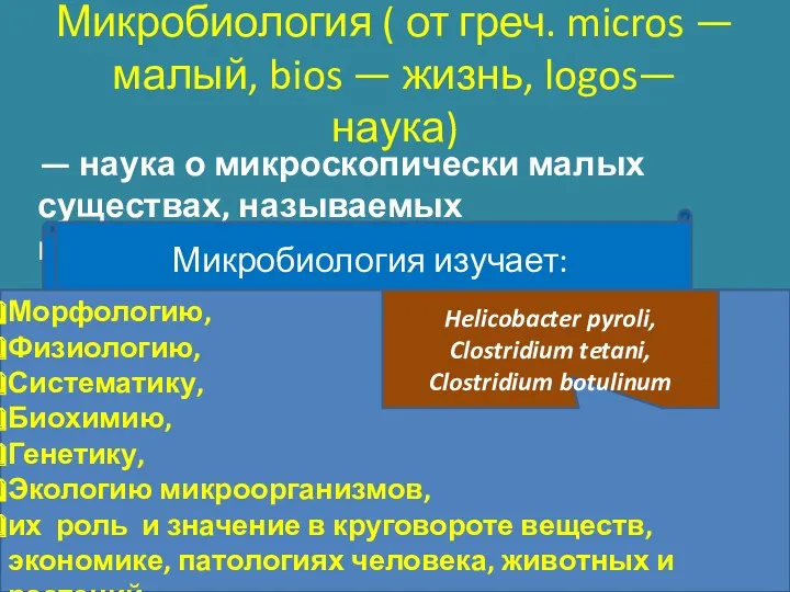 Микробиология ( от греч. micros — малый, bios — жизнь, logos— наука) —