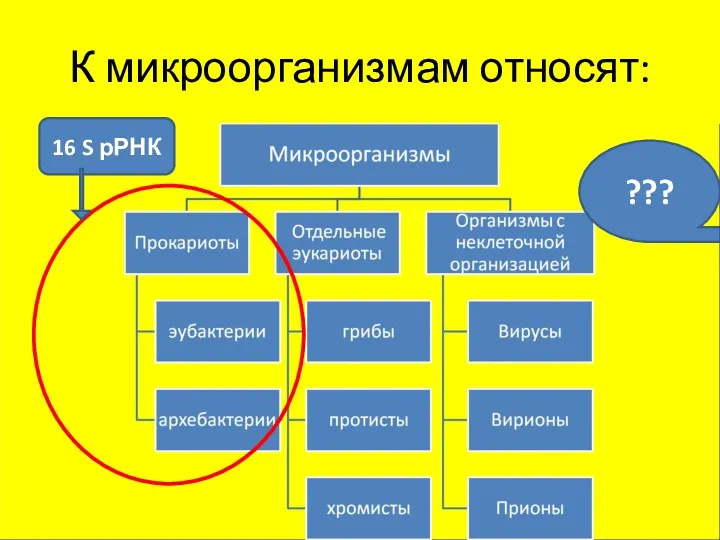 К микроорганизмам относят: ??? 16 S рРНК