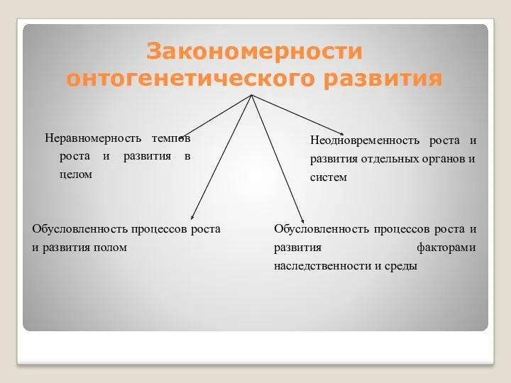 Закономерности онтогенетического развития Неравномерность темпов роста и развития в целом