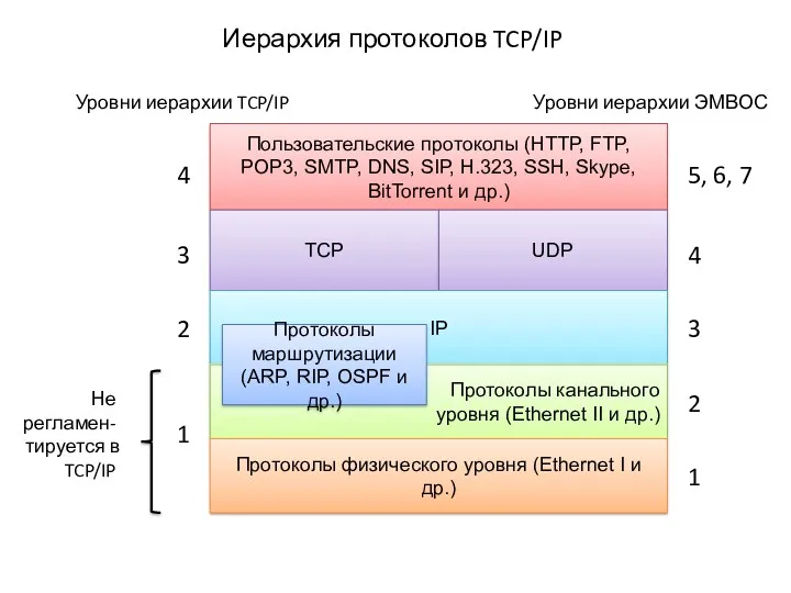 Иерархия протоколов TCP/IP Пользовательские протоколы (HTTP, FTP, POP3, SMTP, DNS, SIP, H.323, SSH,