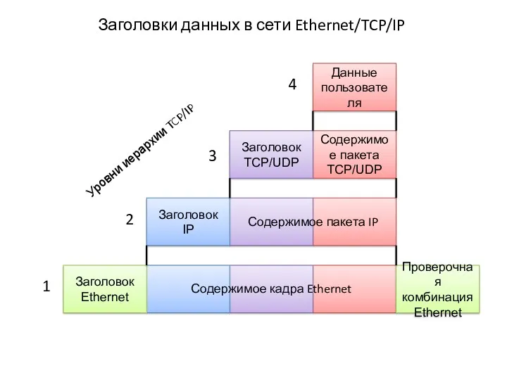 Заголовки данных в сети Ethernet/TCP/IP Данные пользователя Содержимое пакета TCP/UDP Заголовок TCP/UDP Заголовок