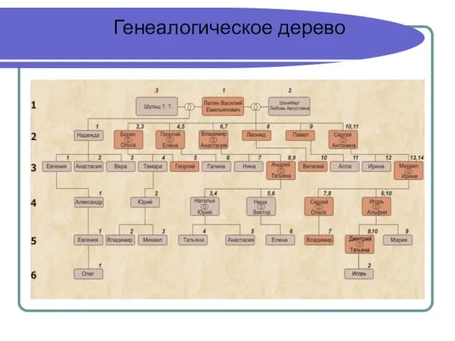 Генеалогическое дерево