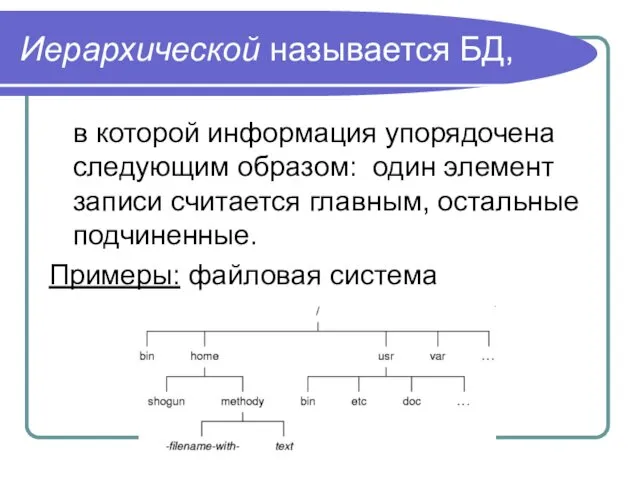 Иерархической называется БД, в которой информация упорядочена следующим образом: один