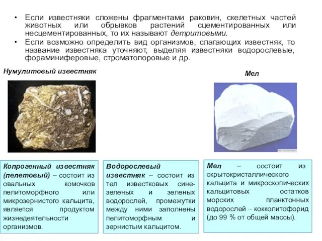 Мел – состоит из скрытокристаллического кальцита и микроскопических кальцитовых остатков