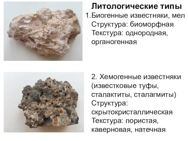 Литологические типы Биогенные известняки, мел Структура: биоморфная Текстура: однородная, органогенная