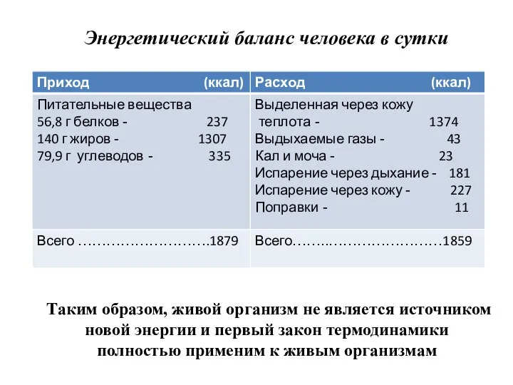 Энергетический баланс человека в сутки Таким образом, живой организм не