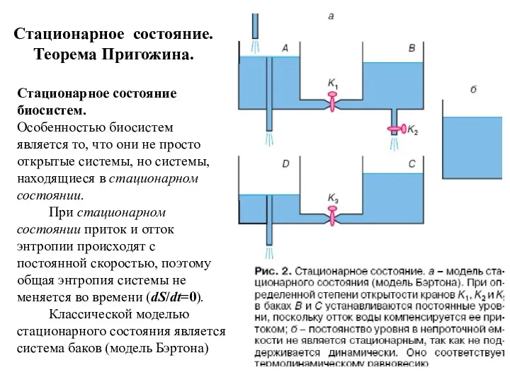 Стационарное состояние. Теорема Пригожина. Стационарное состояние биосистем. Особенностью биосистем является