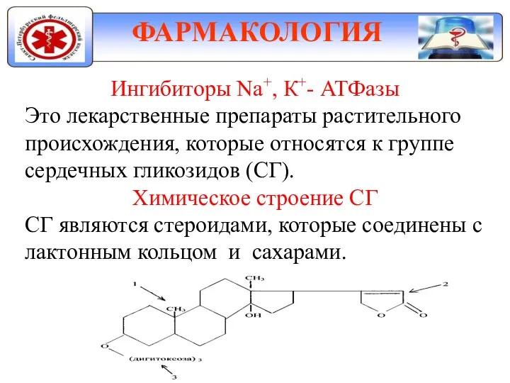 ФАРМАКОЛОГИЯ Ингибиторы Nа+, К+- АТФазы Это лекарственные препараты растительного происхождения, которые относятся к