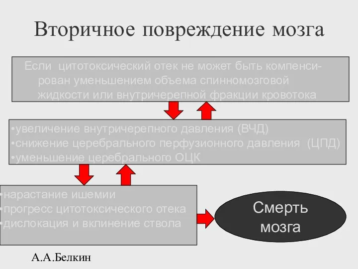 А.А.Белкин Вторичное повреждение мозга Если цитотоксический отек не может быть компенси-рован уменьшением объема