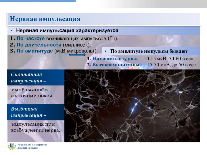 Нервная импульсация характеризуется 1. По частоте возникающих импульсов (Гц). 2.