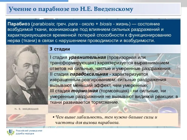 Учение о парабиозе по Н.Е. Введенскому Парабиоз (parabiosis; греч. para